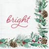 Creative Converting Bright Luncheon Napkins 16ct | Christmas