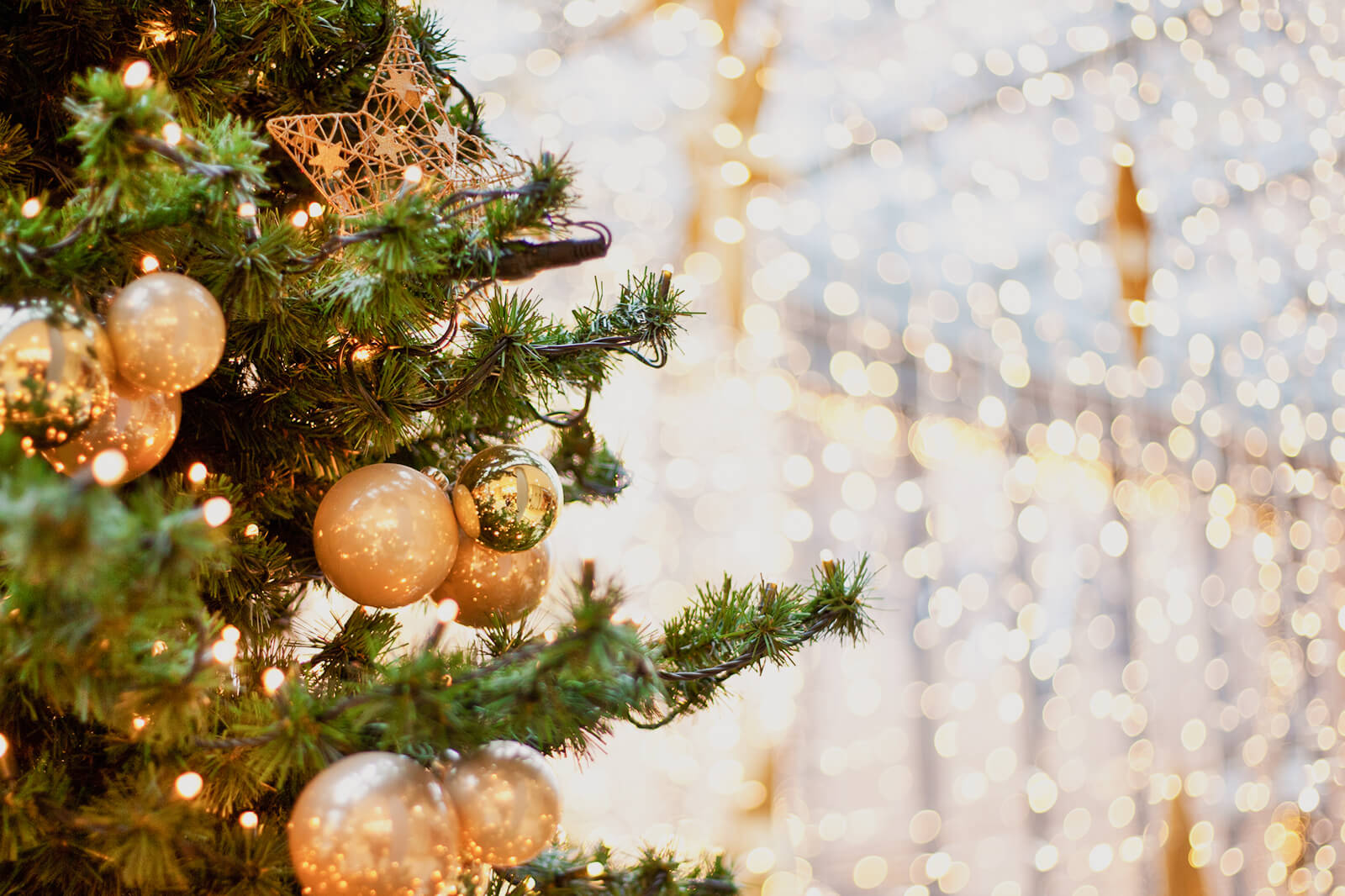 Halco Holiday Shop -Halco Holiday Shop 273890 1600x1066 quick history christmas lights